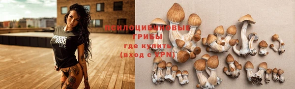 кокаин Пестово