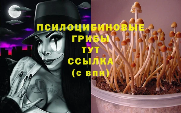 наркотики Пересвет