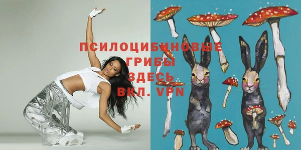 mix Переславль-Залесский